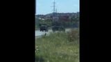 стрельба мукачево