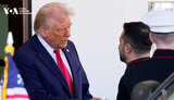 трамп,зеленый