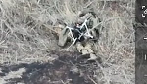 Бойцы 82-й бригады ДШВ артиллерией ликвидировали 15 оккупантов в лесополосе. ВИДЕО