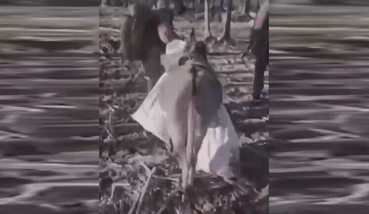 Donkey from Russian army has dropped his cargo and is trying to escape from Russians: "Stop, bitch! Where are you going, f#ck! Stop, f#ck!". VIDEO