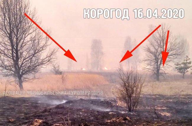 Пожары в Чернобыльской зоне возобновились, - член общественного совета ГАЗО Емельяненко 01