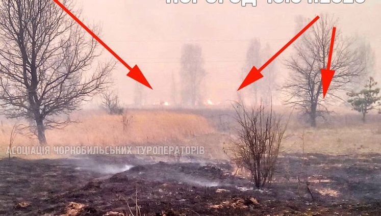 Пожары в Чернобыльской зоне возобновились, - член общественного совета ГАЗО Емельяненко. ФОТО