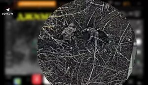 Прикордонники "Прайму" ліквідували дронами 14 окупантів на Північно-Слобожанському напрямку. ВIДЕО