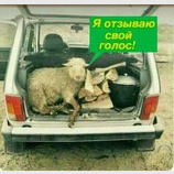 Новый тренд
