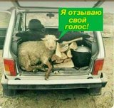 Новый тренд