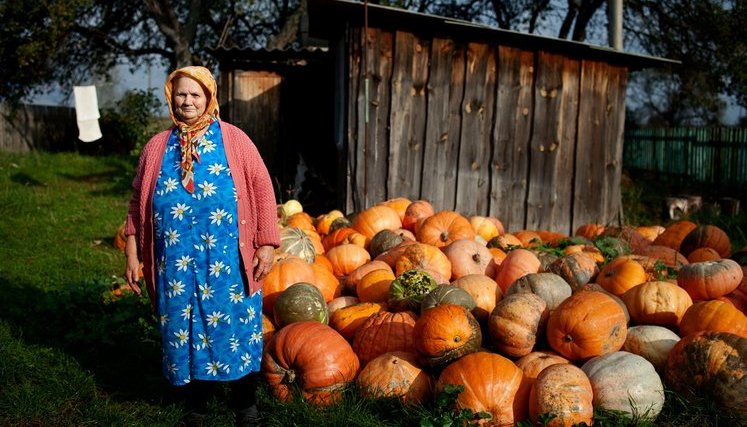 Chornobyl's babushkas – the women who refused to leave the exclusion zone