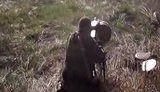 миномет