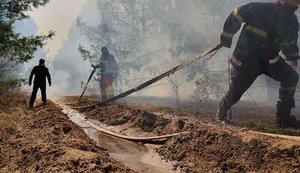Пожар в Зоне отчуждения на территории Дитятковского лесничества локализован, - ГСЧС