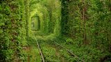 Сказочный "Тоннель любви" в Украине. ФОТОрепортаж