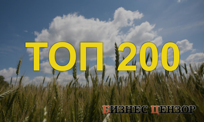200 найбільших компаній України 2016 року 01