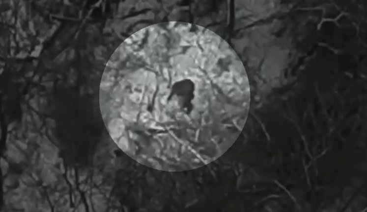 Оккупант долго бегает по лесу, тщетно прячась от украинского дрона. ВИДЕО