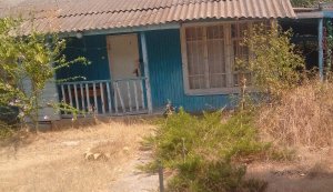 Фонд держмайна продав занедбану базу відпочинку на Одещині