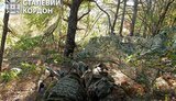 кордон