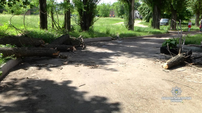 Четверо школярів постраждали від падіння дерева в Черкасах, - Нацполіція 03