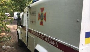 фенікс