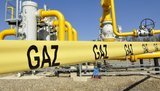 Кто импортировал газ в Украину в 2019 году