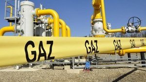 Кто импортировал газ в Украину в 2019 году