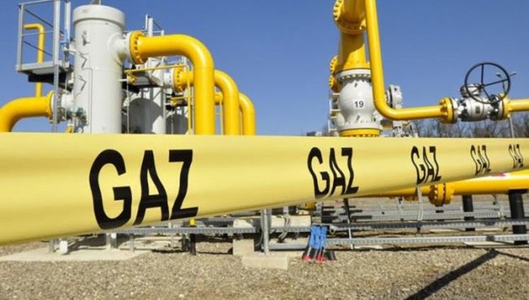 Кто импортировал газ в Украину в 2019 году