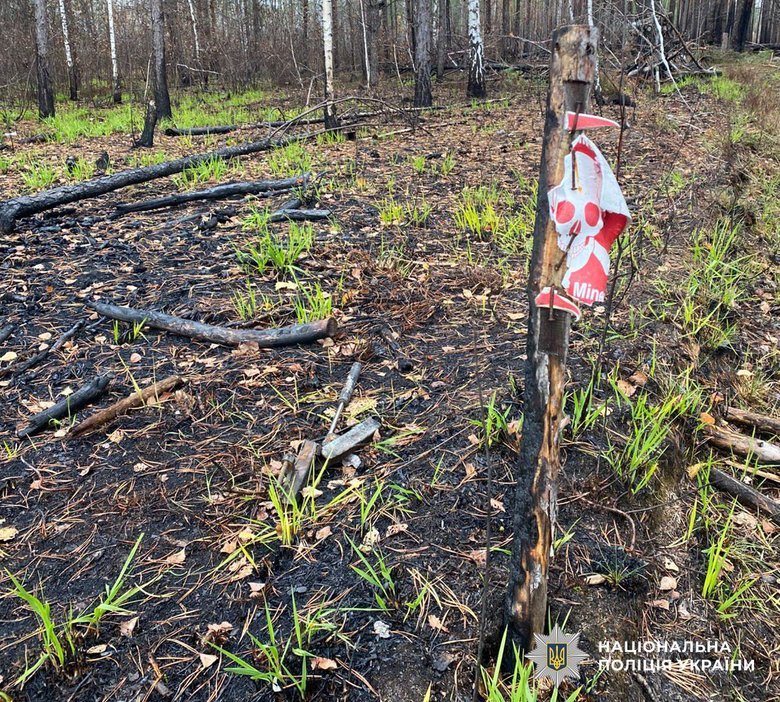 Two cars hit mines in Zhytomyr region