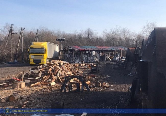 СБУ ликвидировала преступную схему незаконной вырубки леса на Житомирщине 01