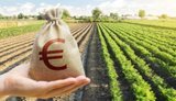 В Україні стартує нова програма підтримки фермерів: хто зможе отримати гранти?