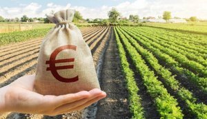 В Україні стартує нова програма підтримки фермерів: хто зможе отримати гранти?