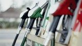 Крупнейшие сети АЗС продолжили повышать цены на бензин и дизтопливо (обновлено)