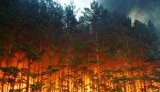 Пожежникам у Зоні відчуження потрібна допомога: зібрано вантаж на 300 кг, готується новий, - волонтер Юсупова. ФОТО