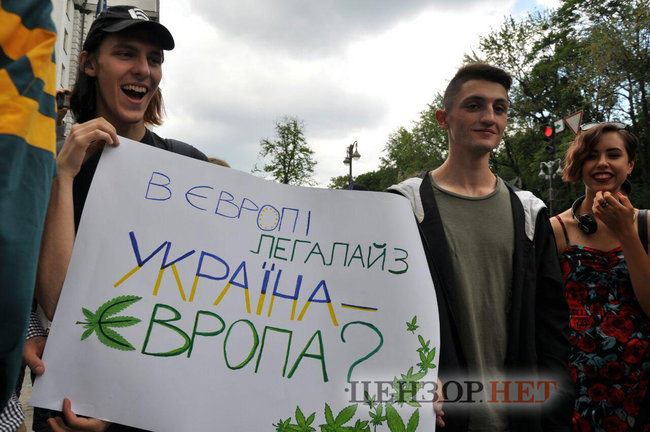 Начать научные исследования: под Кабмином требовали легализовать марихуану 11