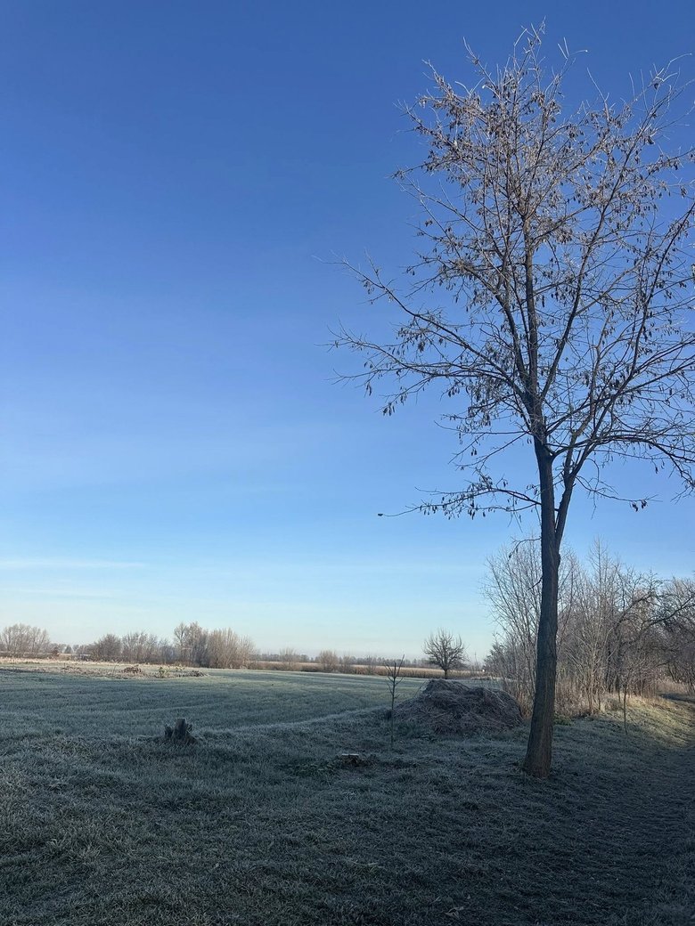 допис Ніколаєнко