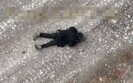 вбивство чоловіка біля Селидового