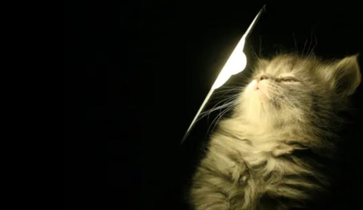 У суботу світла буде більше: Обмеження діятимуть усю добу, але відключатимуть на пів черги менше, – "Укренерго"