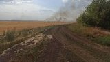 Чоловік підпалив поле в зоні ООС: його затримали й передали поліції. ФОТО