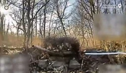 Прикордонники знищили замаскований танк окупантів, укриття та склад БК на Курському напрямку