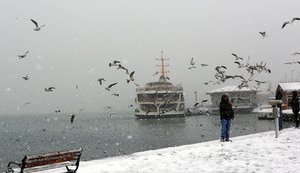 Турция закрыла Босфор для прохода судов из-за снега