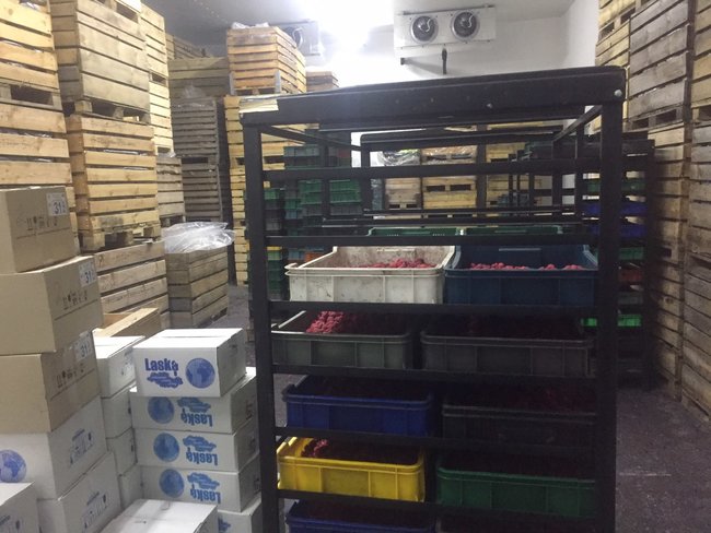 На Волині ліквідовано схему ухилення від податків під час заготівлі та експорту ягід і грибів, вилучено товарів на 5 млн грн 02