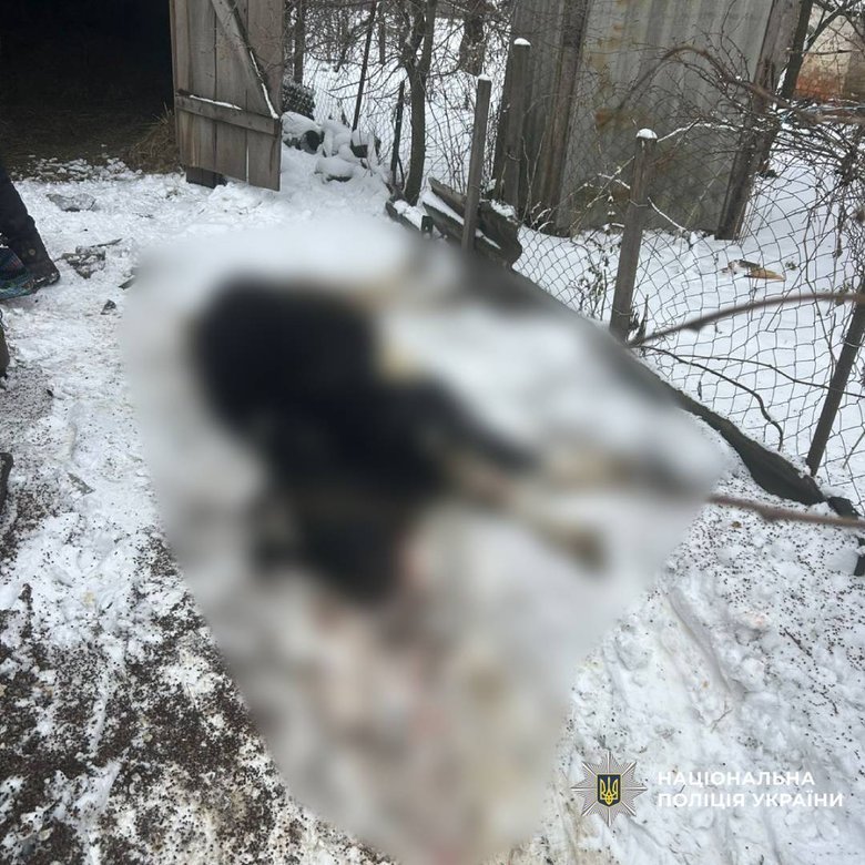 РФ обстріляла Харківщину