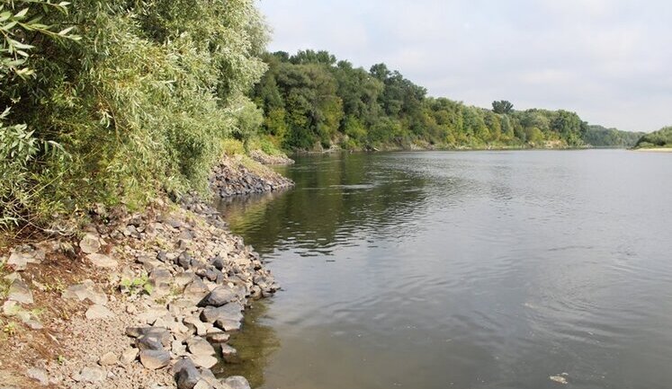 Pollution has spread along Desna River, dead fish are observed, worst water samples are in Chernihiv