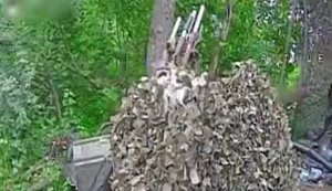 Border guards from "Shkval" unit destroyed shelter, warehouse and hexacopter in Kharkiv region. VIDEO