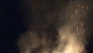 Підпал виноградників на Одещині: Лакарен звинуватив поліцію в брехні та звернувся до Порошенка і Мінгареллі