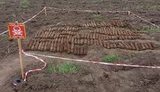 Арсенал снарядов и мин времен Второй мировой войны обнаружен на Черкасщине, - ГСЧС. ФОТО