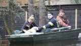 повінь