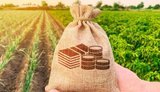 Українці цьогоріч сплатили майже 16 мільярдів земельного податку: регіони-лідери за обсягами надходжень