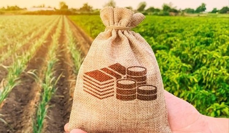 Українці цьогоріч сплатили майже 16 мільярдів земельного податку: регіони-лідери за обсягами надходжень