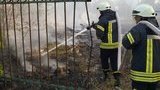 У селі Гладосове у зоні ООС вогонь із сухої трави перекинувся на житлові будинки, - ДСНС