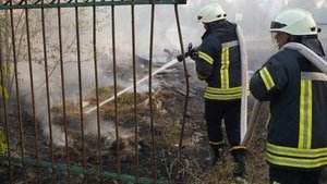 У селі Гладосове у зоні ООС вогонь із сухої трави перекинувся на житлові будинки, - ДСНС