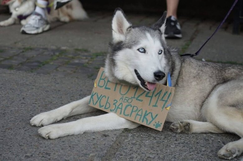 Собаки на мітингах