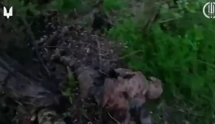 Бійці ССО взяли під контроль лісосмугу на Донеччині. ВIДЕО