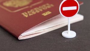 Украинцам с российскими паспортами могут запретить въезд в ЕС, - Йозвяк
