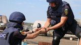 За тиждень на Донбасі вилучили та знешкодили 900 вибухонебезпечних предметів, - ДСНС. ФОТОрепортаж